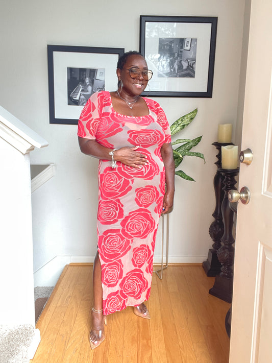 Hey Rosy | Plus Size Sheer Dress